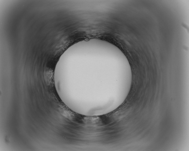 X0000096700480200803041325