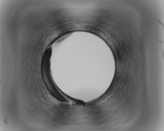 X0000096700481200803041324