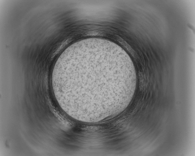X0000096700482200803041324