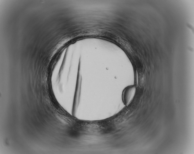 X0000096700483200803041324