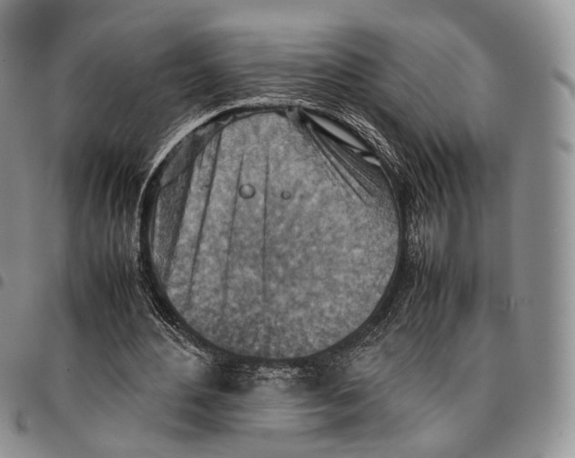 X0000096700484200803041324