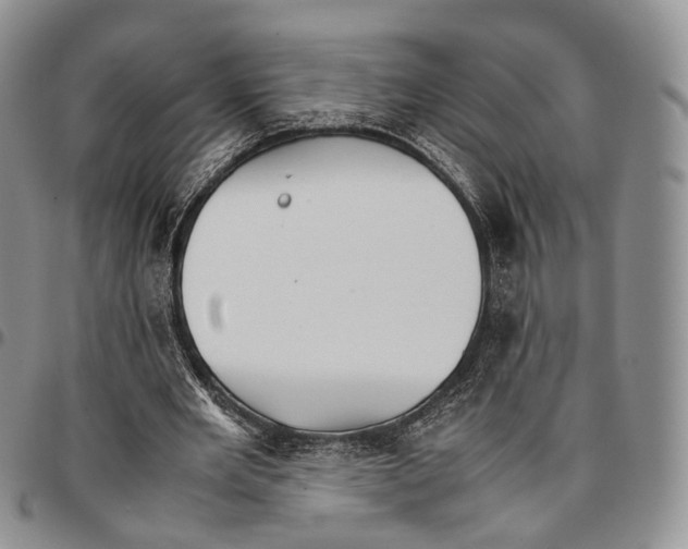 X0000096700485200803041324