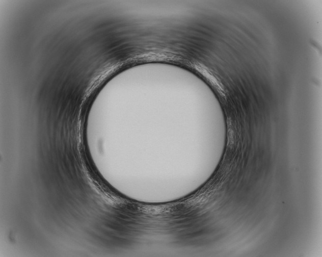 X0000096700486200803041324
