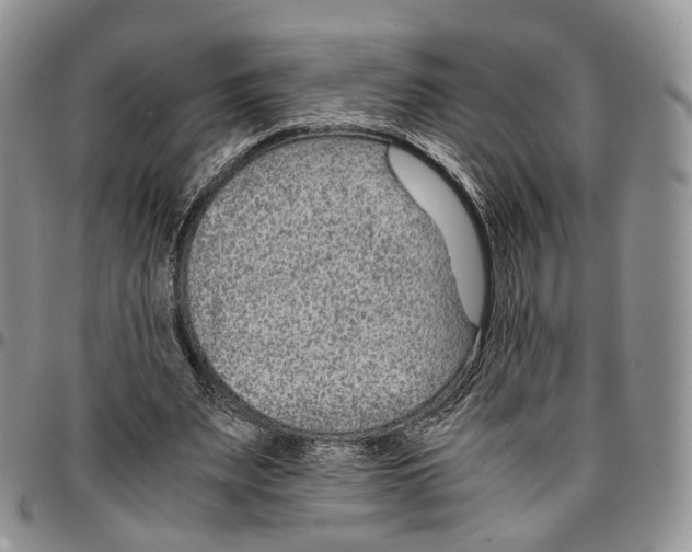 X0000096700487200803041324