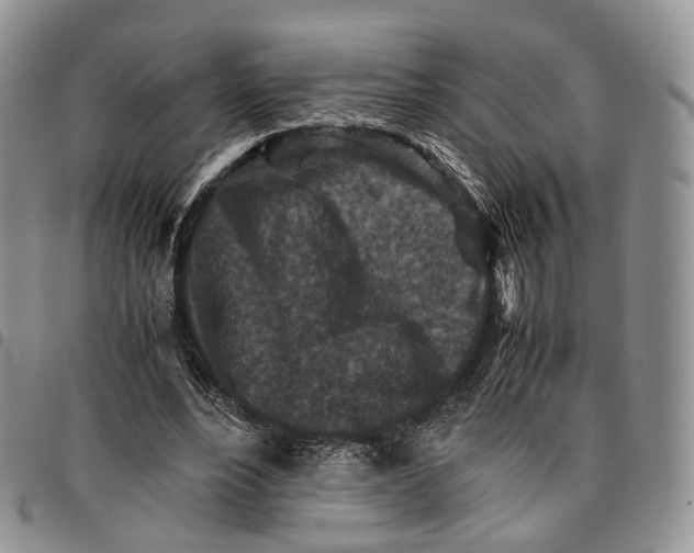 X0000096700488200803041324