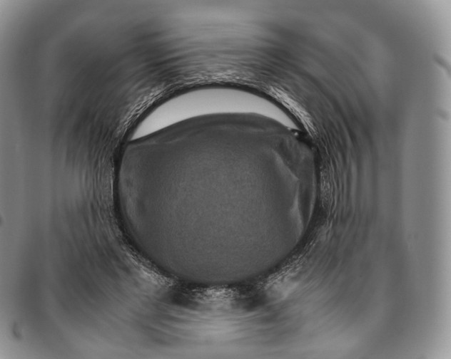X0000096700493200803041324