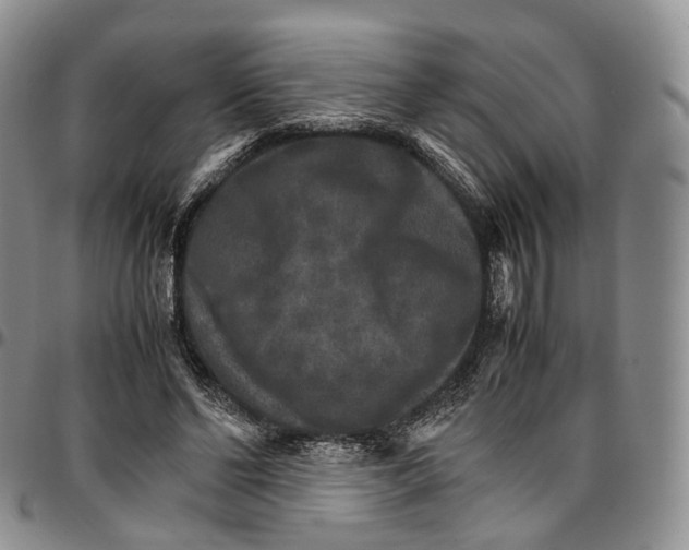 X0000096700494200803041324