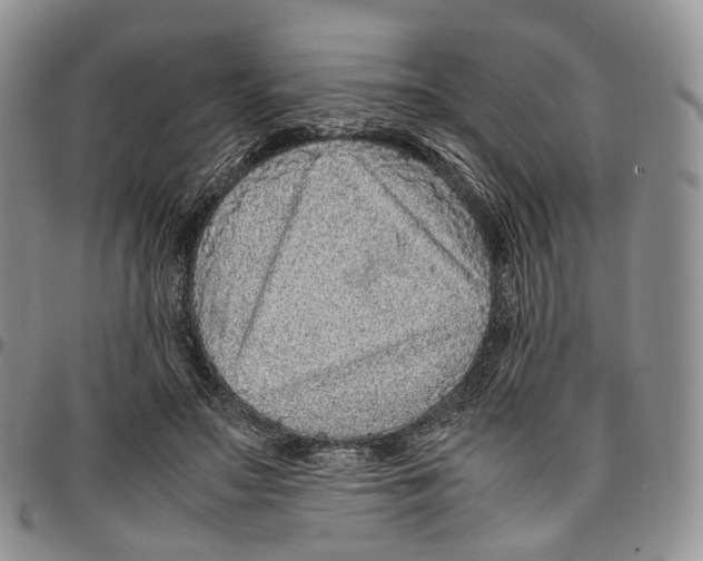 X0000096700499200803041324