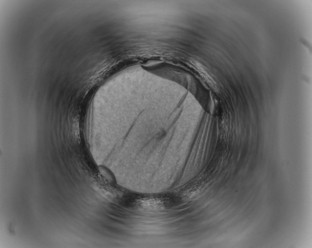 X0000096700500200803041324
