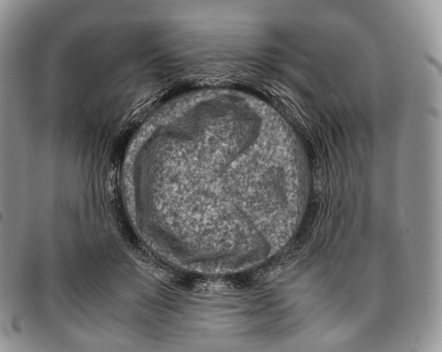 X0000096700503200803041324