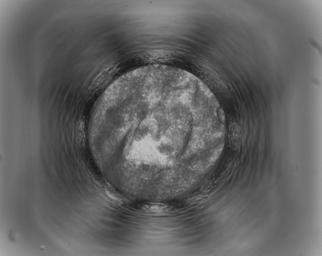 X0000096700506200803041324