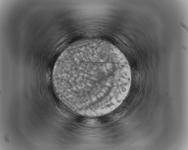 X0000096700507200803041324