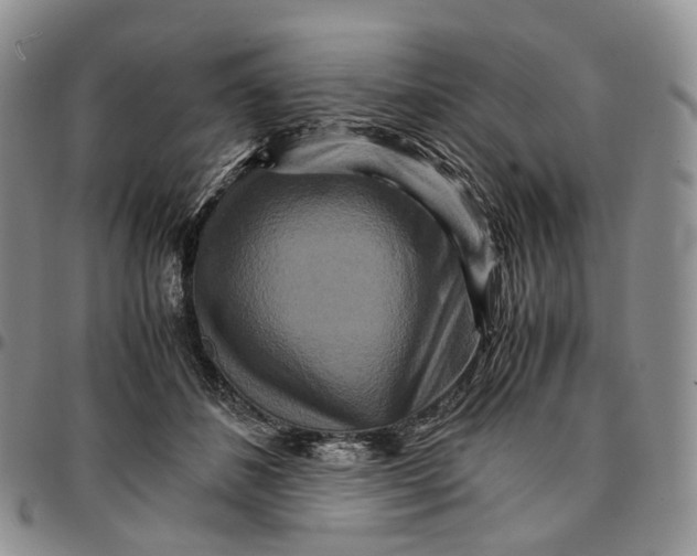 X0000096700508200803041324