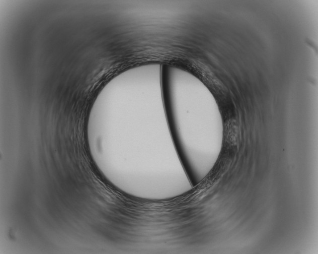 X0000096700509200803041324