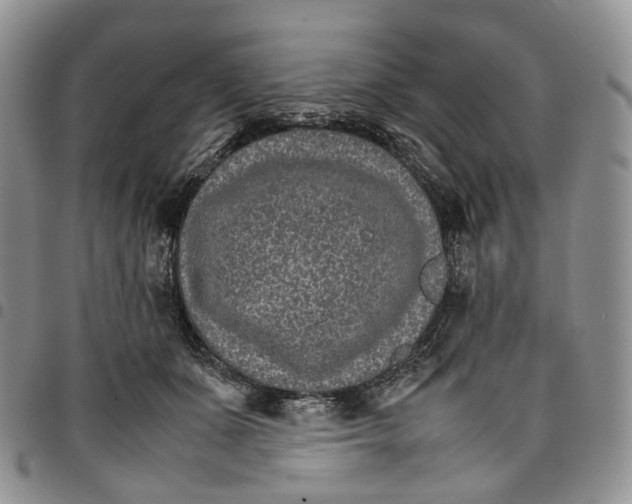 X0000096700511200803041324