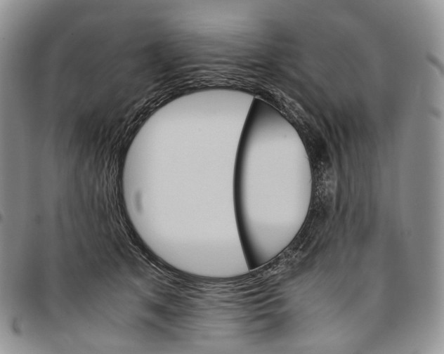 X0000096700513200803041324