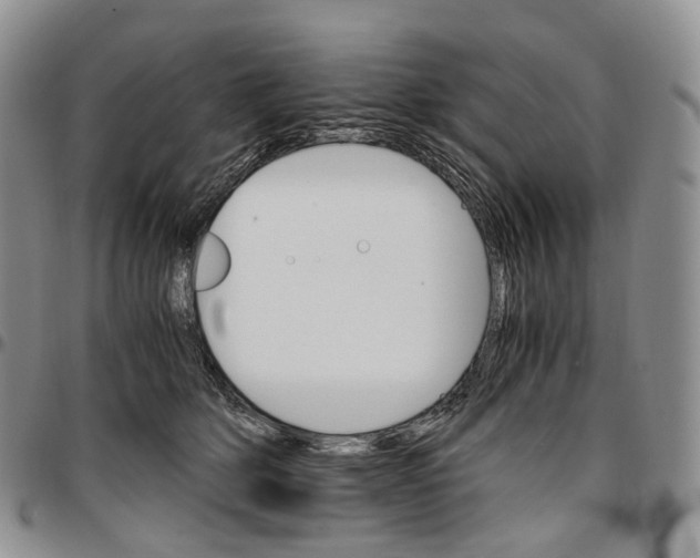 X0000096700514200803041324