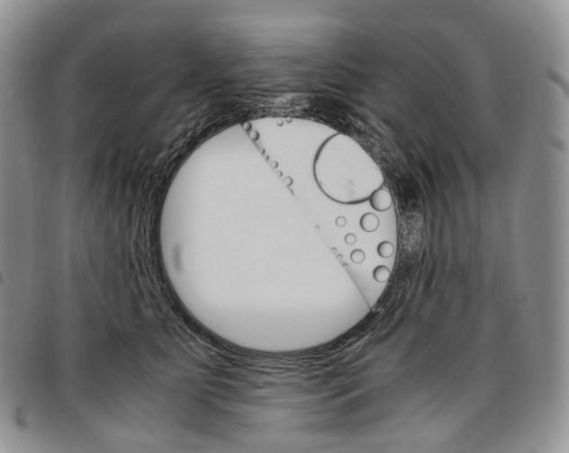 X0000096700515200803041324