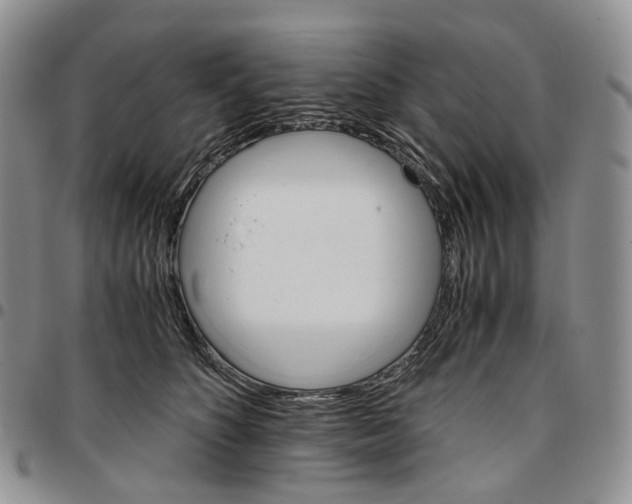 X0000096700516200803041324