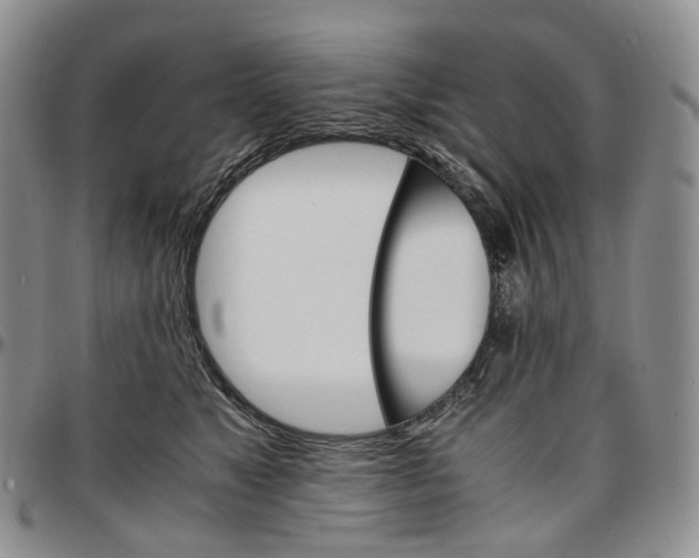 X0000096700517200803041324