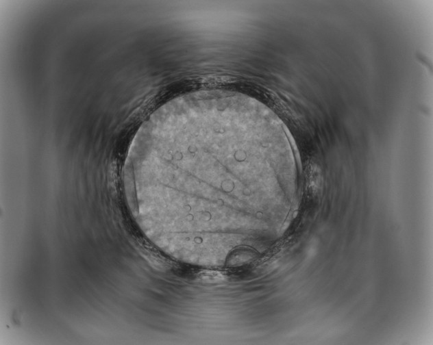 X0000096700519200803041324