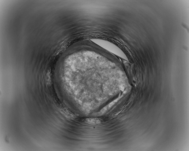X0000096700520200803041324