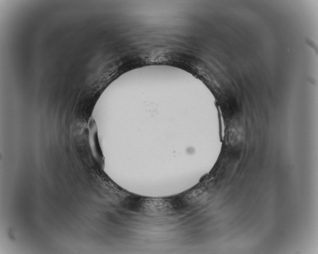 X0000096700521200803041324
