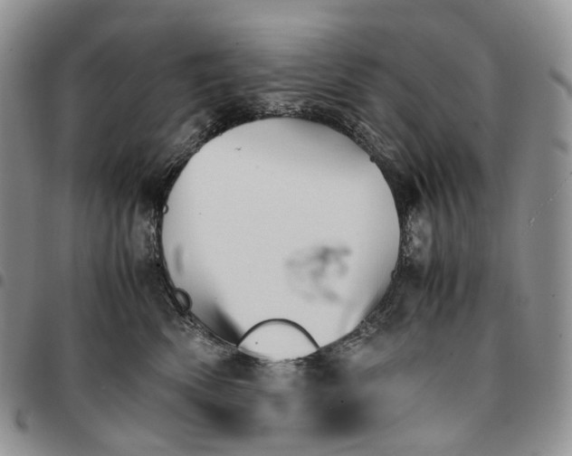 X0000096700522200803041324