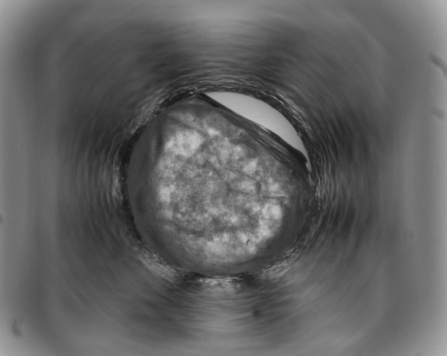 X0000096700524200803041323