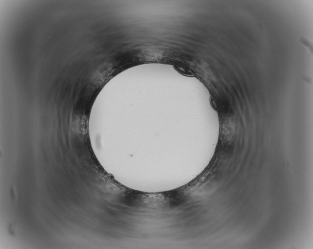 X0000096700525200803041323