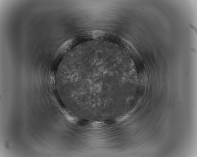 X0000096700527200803041323