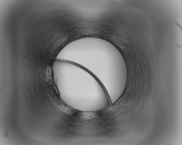 X0000096700528200803041323