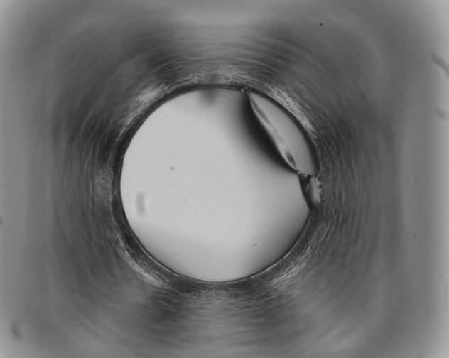 X0000096700530200803041323