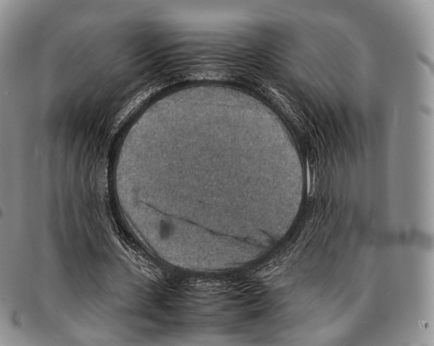 X0000096700531200803041323