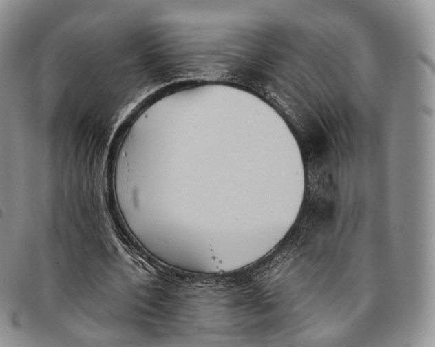 X0000096700532200803041323