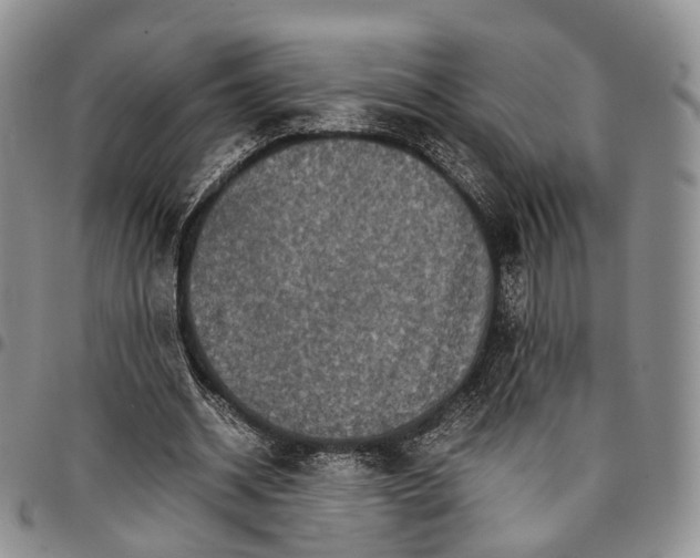 X0000096700534200803041323