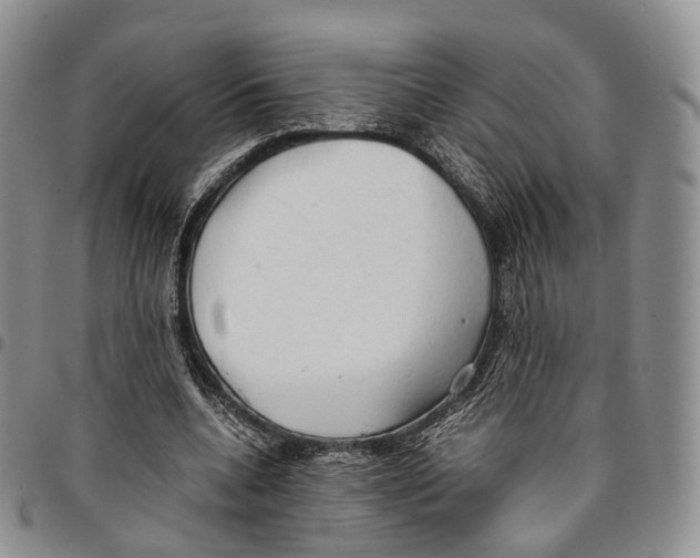 X0000096700536200803041323