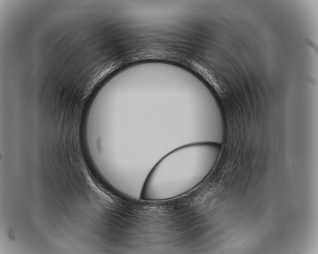 X0000096700538200803041323