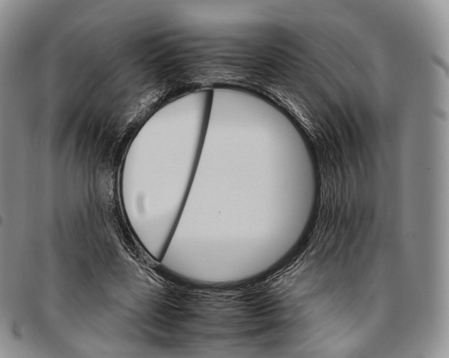 X0000096700539200803041323