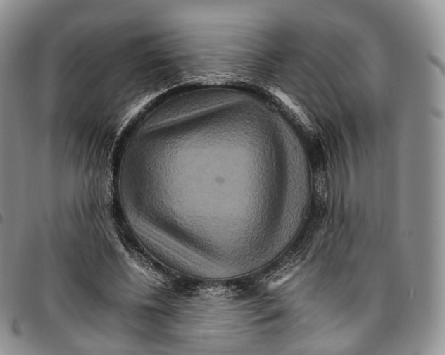 X0000096700540200803041323