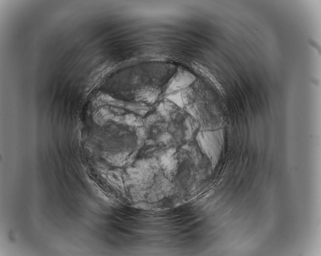 X0000096700541200803041323