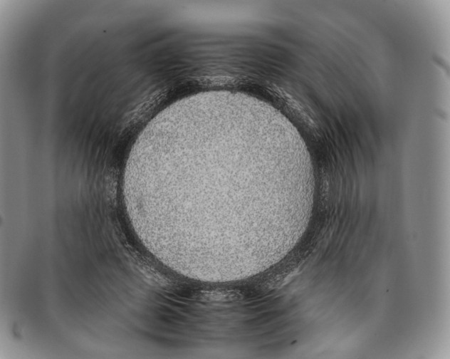 X0000096700545200803041323