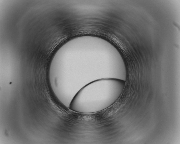 X0000096700546200803041323