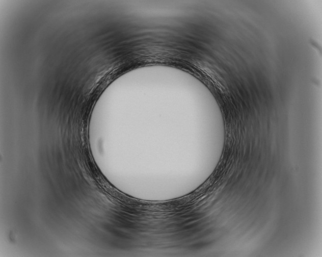 X0000096700547200803041323