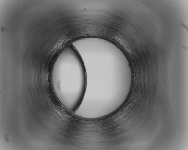 X0000096700548200803041323
