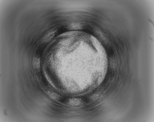 X0000096700549200803041323