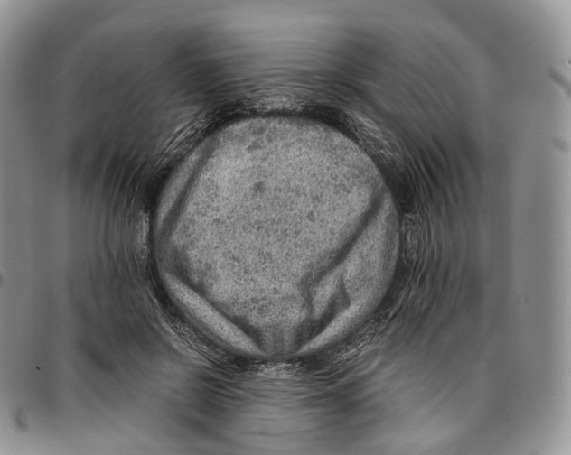 X0000096700550200803041323