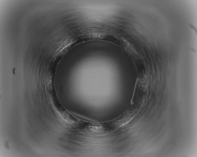 X0000096700552200803041323