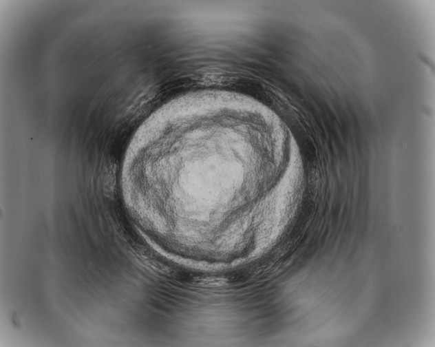 X0000096700554200803041323