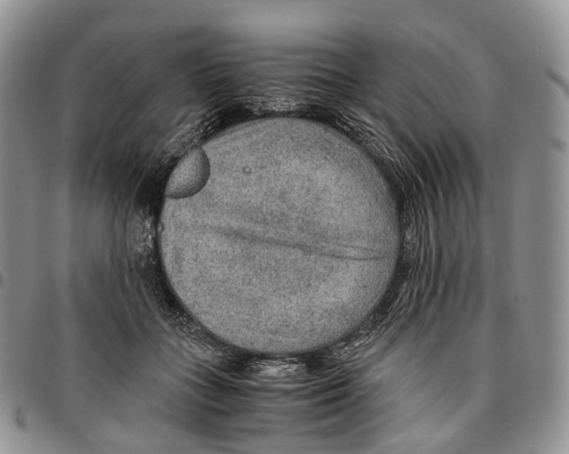 X0000096700555200803041323